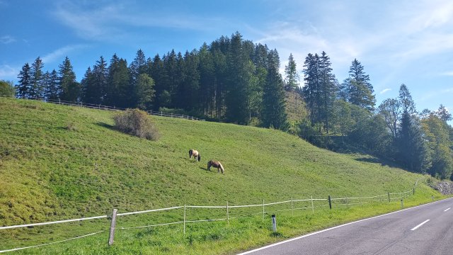 Mariazell '26 #185