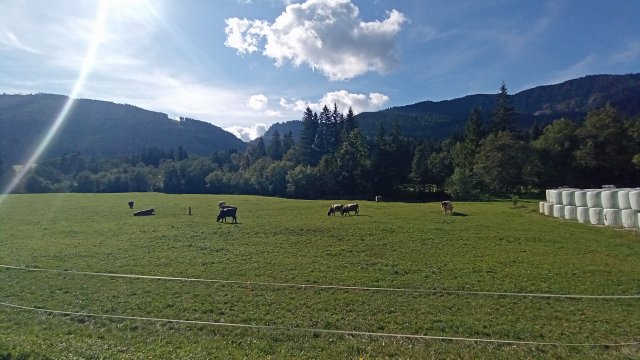 Mariazell '26 #188