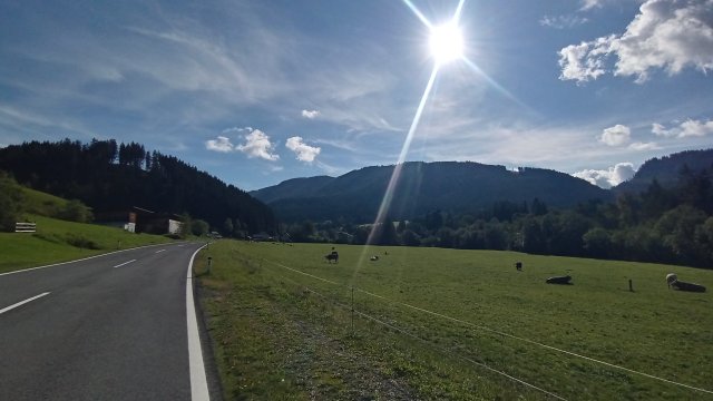Mariazell '26 #189