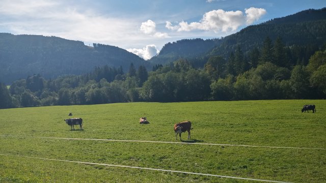 Mariazell '26 #191