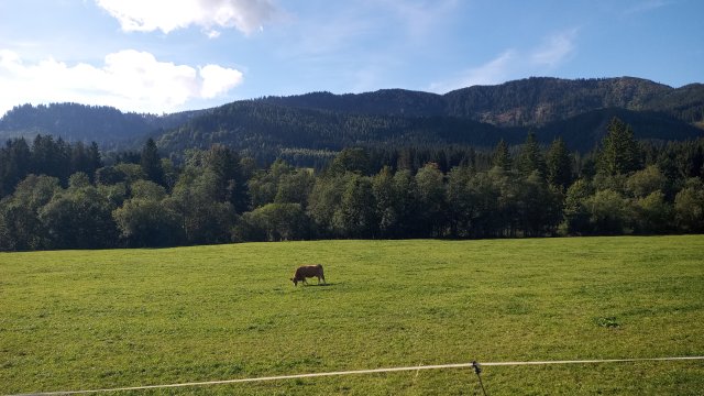Mariazell '26 #192