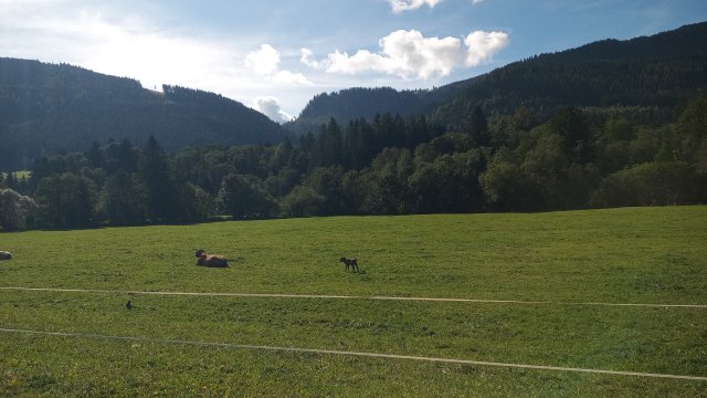 Mariazell '26 #193