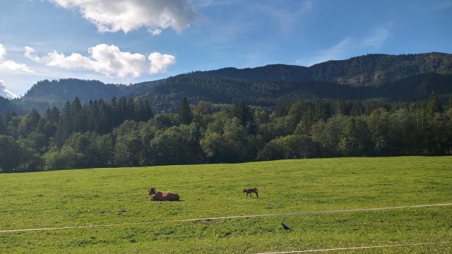 Mariazell '26 #194