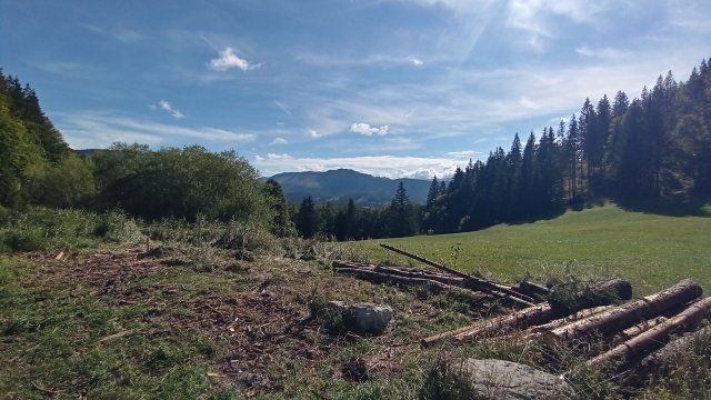 Mariazell '26 #211