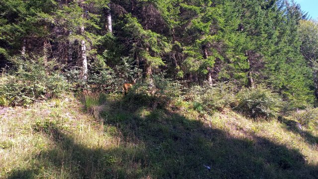 Mariazell '26 #273