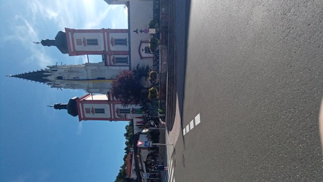 Mariazell '26 #295