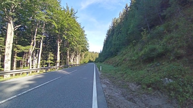 Mariazell '26 #311