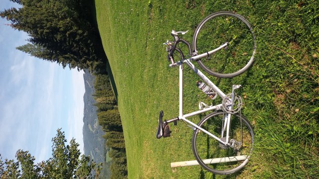 Mariazell '26 #313