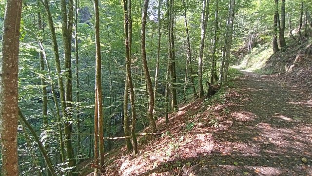 Mariazell '26 #56