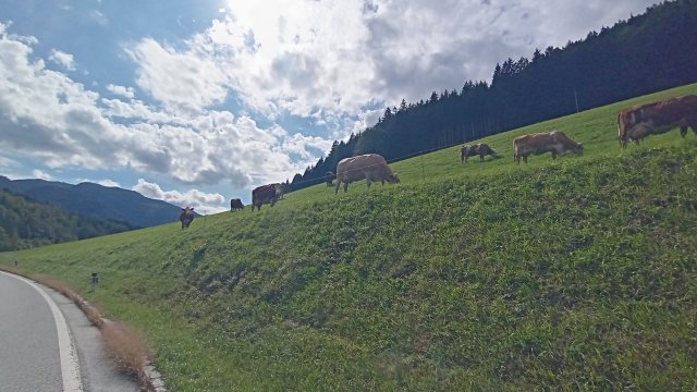 Mariazell '26 #59