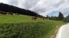 Mariazell '26 #60