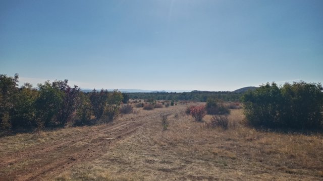 Balaton-felvidék '26 #59