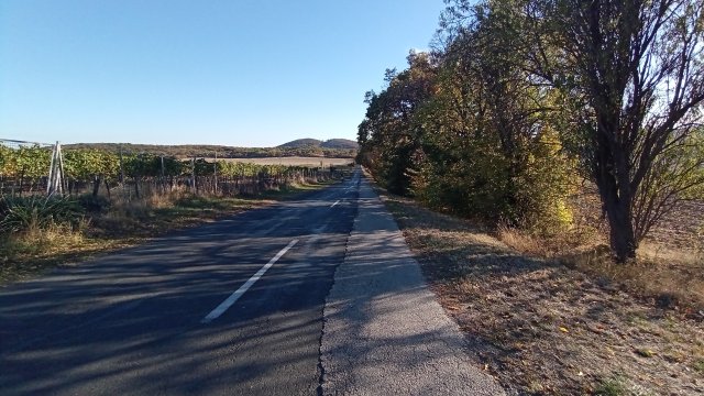 Balaton-felvidék '26 #79