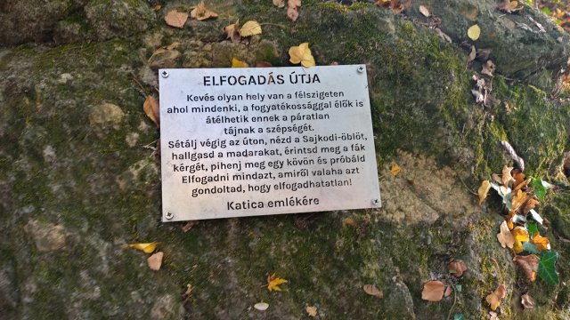 Balaton-felvidék '26 #93