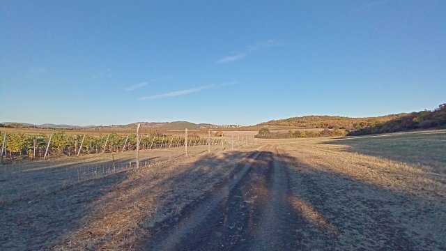 Balaton-felvidék '26 #95