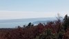 Balaton-felvidék '26 #43