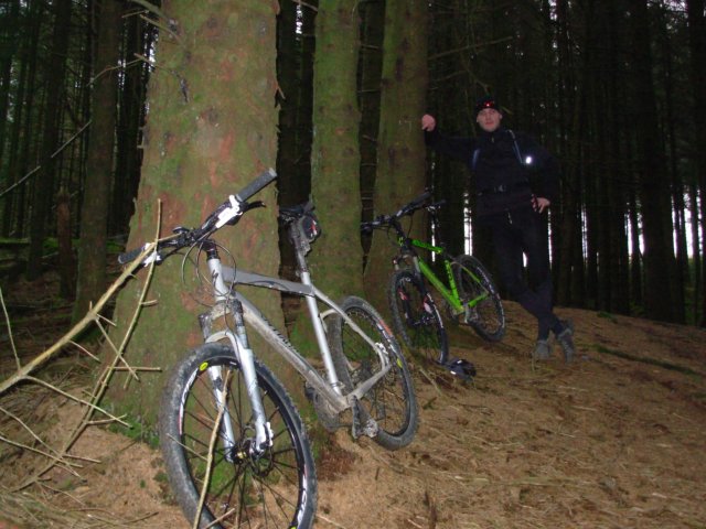 grizedale #5