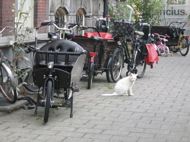 Amszterdam #16
