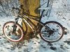 Snow bike #11