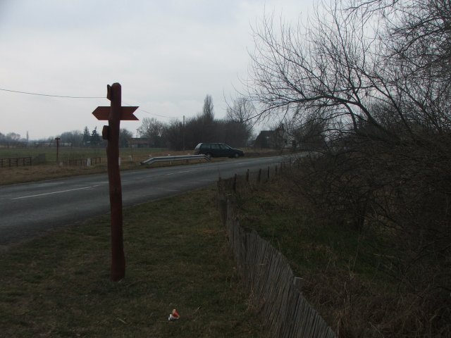 2011. február 20. - Röszke - Mórahalom #8