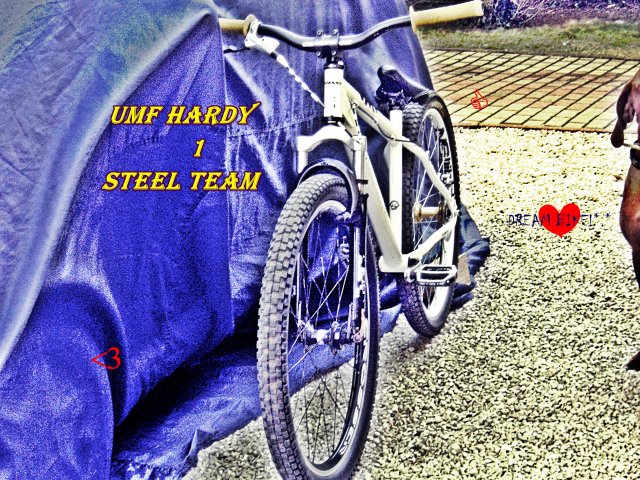 UMF Hardy Steel Team #2