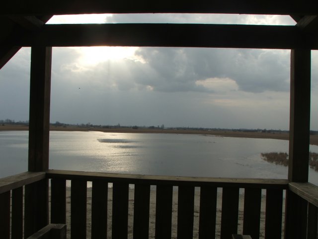 2011. március 15. - Nagyszéksós-tó #15