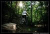 Kamaraerdő testbike fotózás #9