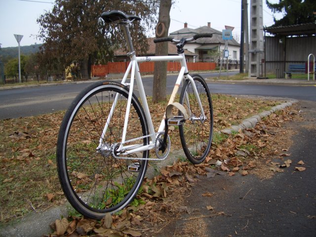 Gepida S3 Fixed bicycle #9
