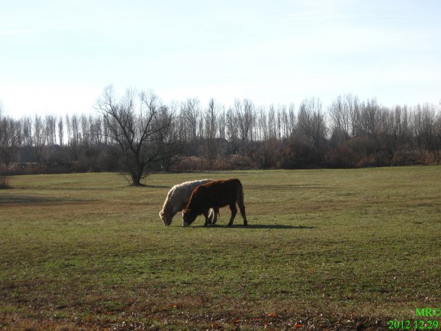 2012-es tekerések #3536