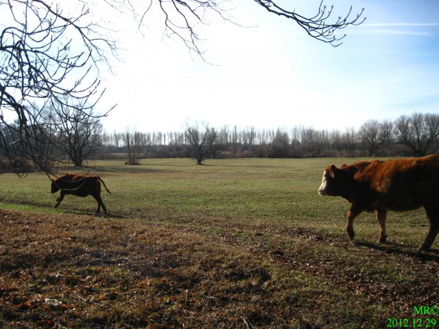 2012-es tekerések #3540