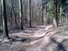 A  soproni erdőben #30