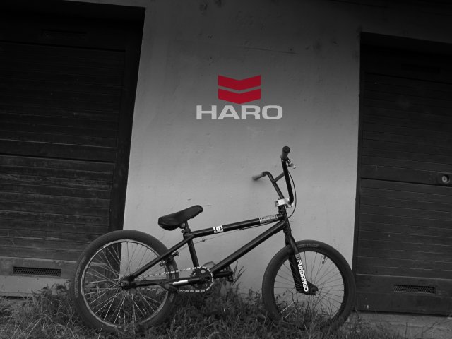 Haro BMX #10
